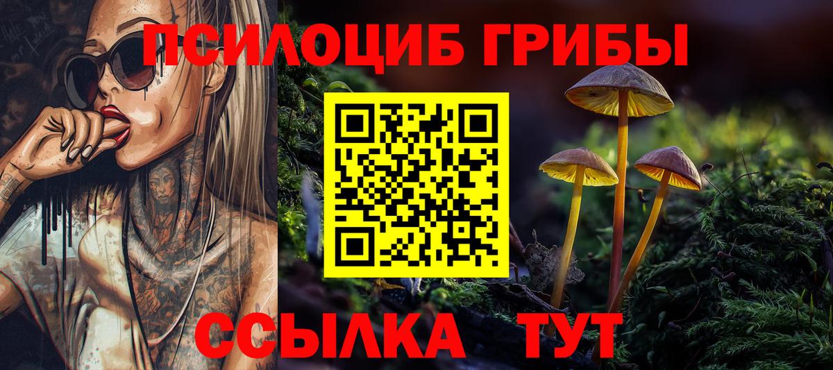 Воткинск  Галлюциногенные грибы Psilocybine cubensis  Галлюциногенные грибы Magic Shrooms  закладка  Вход с VPN 