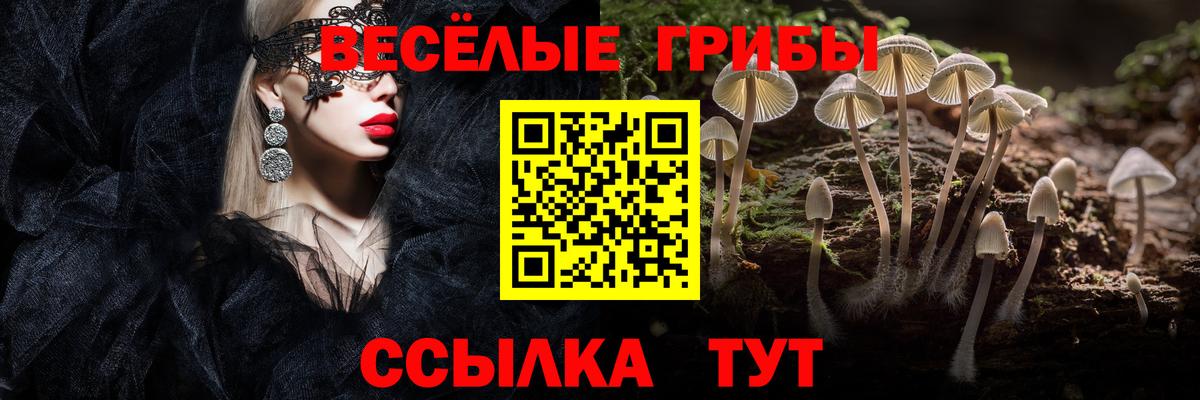 Псилоцибиновые грибы Psilocybine cubensis Воткинск